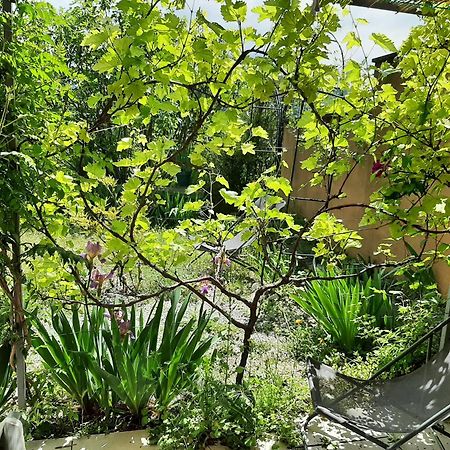Апартаменты T.Belle Vue Panoramique Au Coeur Du Luberon 40M2 + Pergola . Jardin. P Апт Экстерьер фото