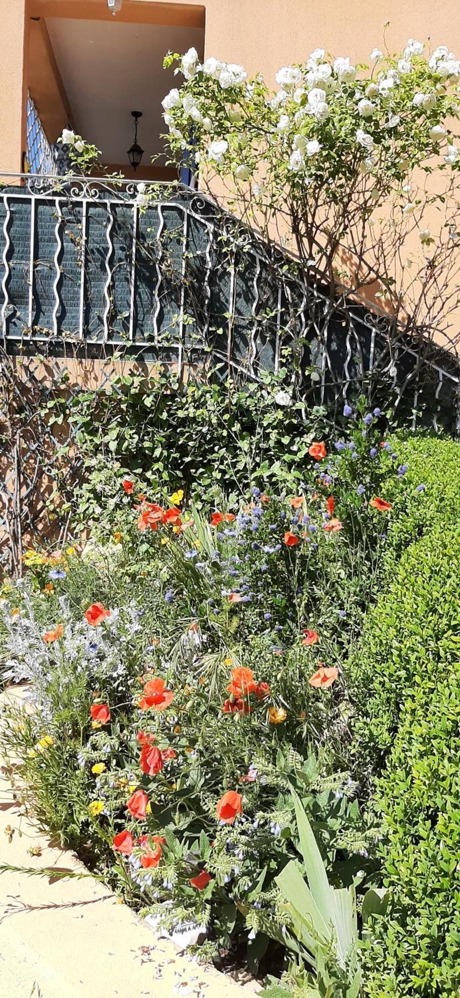 Апартаменты T.Belle Vue Panoramique Au Coeur Du Luberon 40M2 + Pergola . Jardin. P Апт Экстерьер фото