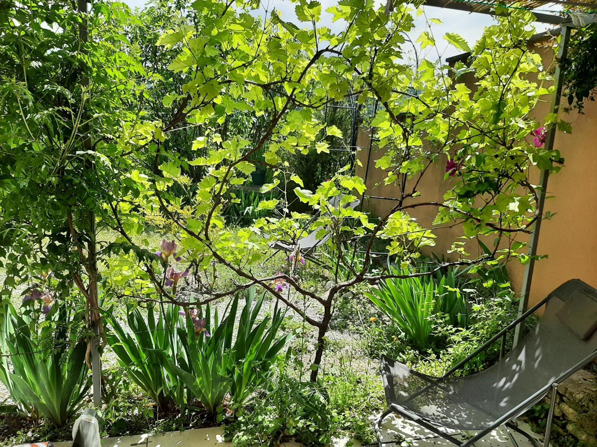 Апартаменты T.Belle Vue Panoramique Au Coeur Du Luberon 40M2 + Pergola . Jardin. P Апт Экстерьер фото